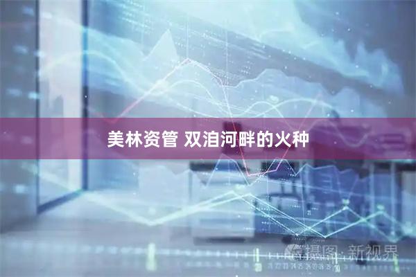 美林资管 双洎河畔的火种