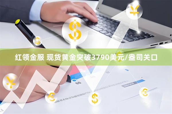 红领金服 现货黄金突破3790美元/盎司关口