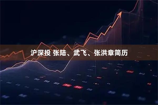 沪深投 张陆、武飞、张洪章简历